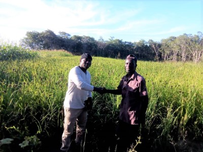 Ministry of Agriculture, Zambia, doing field work to validate ECAAS