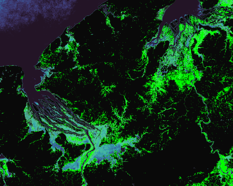 Visualisation of madagascar wofs and cropland extent